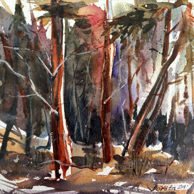 Mysterious Forrest