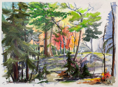 The Magic Forest