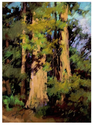 May -June 2026'  SPRING SERIES:   "Find Your Style" All Levels -     Beginners through Advanced.