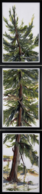 Available: "VI Fir Triptych" S25'